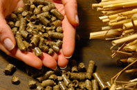 free Stoke Farthing biomass boiler quotes
